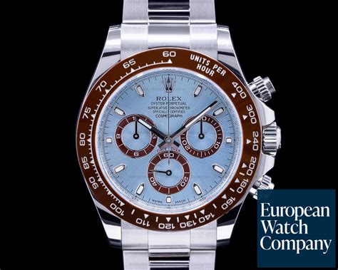 rolex daytona blue brown